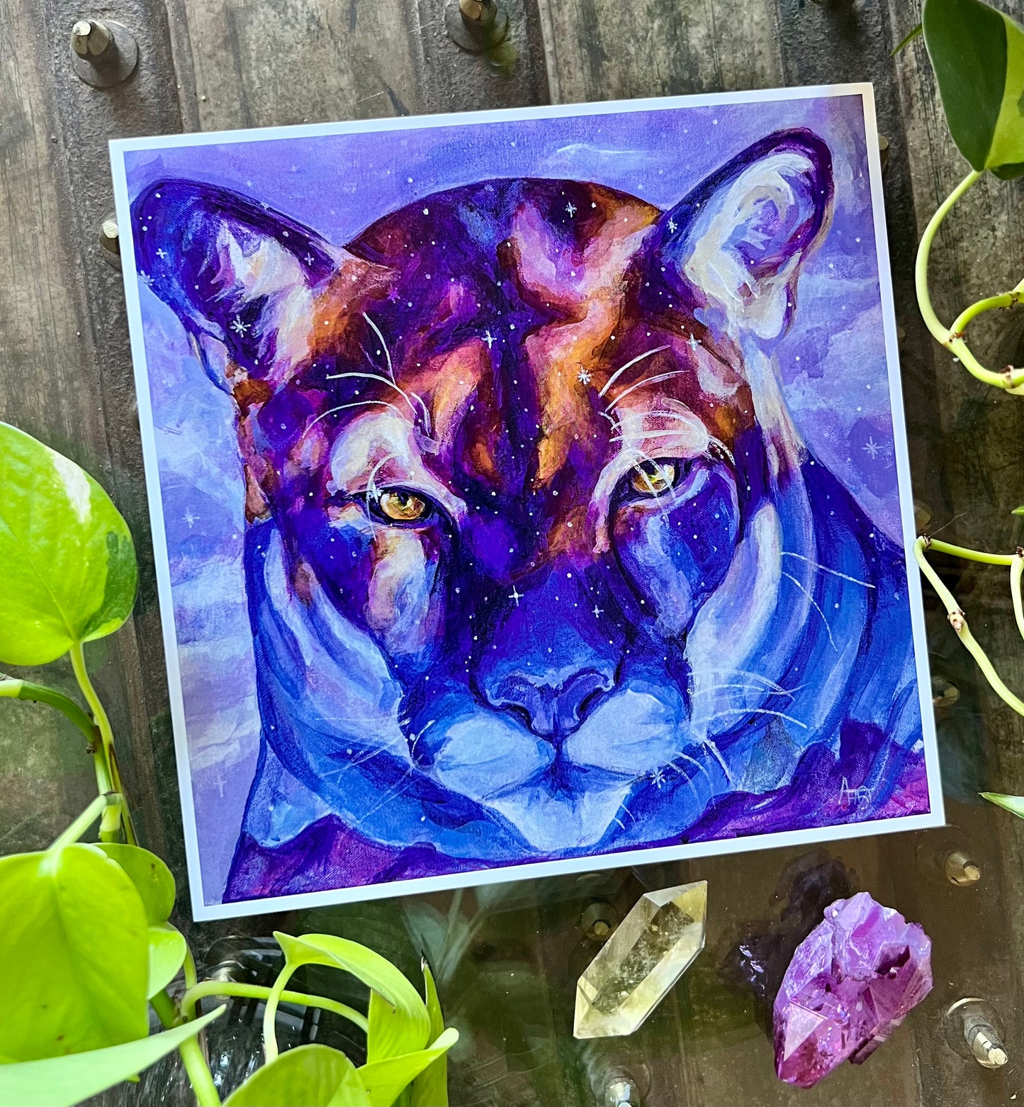 Galaxy Cat 8x8 Print